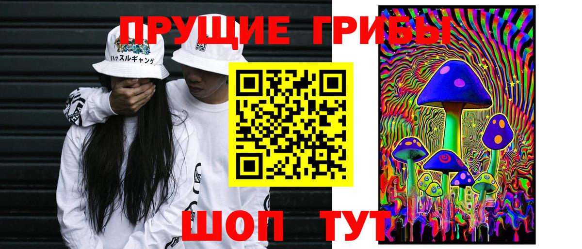 Галлюциногенные грибы Cubensis Мытищи